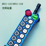 台湾禹鼎防爆遥控器-BF21-12D/BF21-12s Yuding explosion proof remote controller