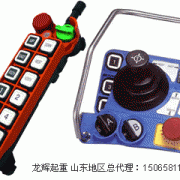 台湾禹鼎遥控器 F24-8s  Taiwan Yuding remote controller F24-8S