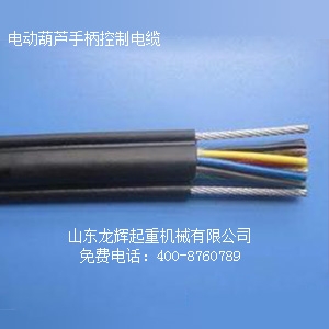 电动葫芦控制电缆  Longhui Company electric hoist control cable