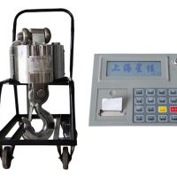 OCS-W5160电子吊钩秤 OCS-W5160 electronic hook scale