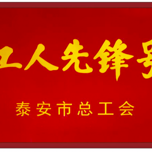 榜样领航！山东新葡萄有限公司起重机小车装配班荣获2022年度泰安市工人先锋号荣 ...